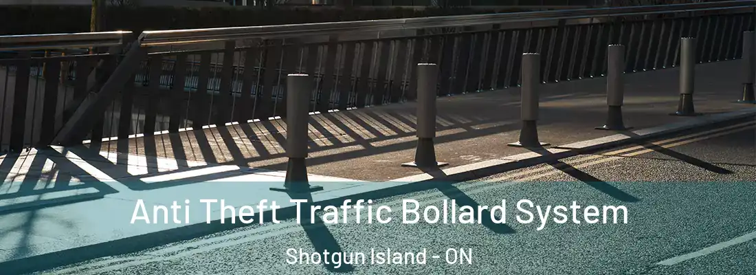  Anti Theft Traffic Bollard System Shotgun Island - ON