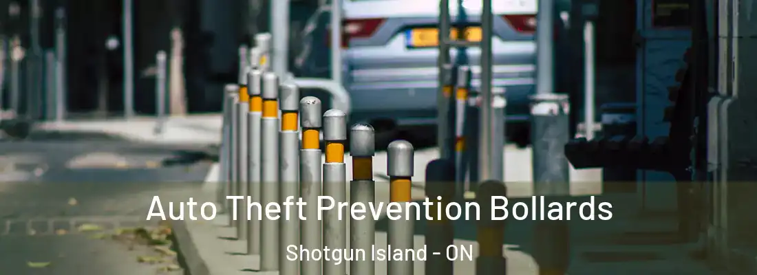  Auto Theft Prevention Bollards Shotgun Island - ON