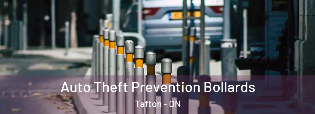  Auto Theft Prevention Bollards Tafton - ON