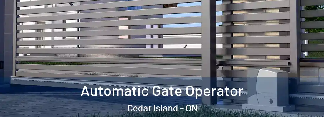  Automatic Gate Operator Cedar Island - ON