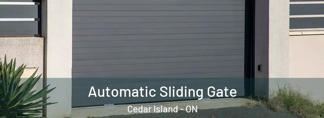  Automatic Sliding Gate Cedar Island - ON