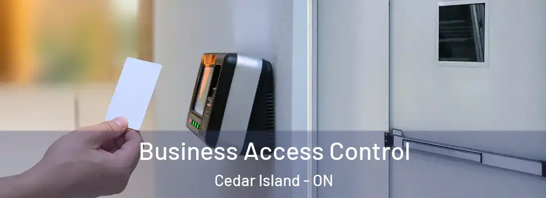  Business Access Control Cedar Island - ON