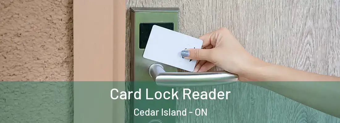  Card Lock Reader Cedar Island - ON