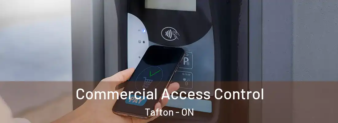  Commercial Access Control Tafton - ON