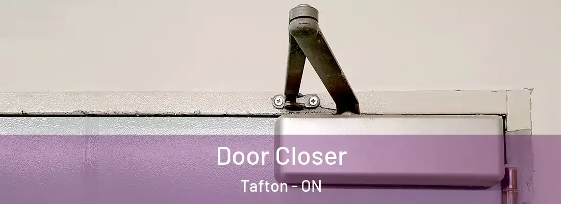  Door Closer Tafton - ON