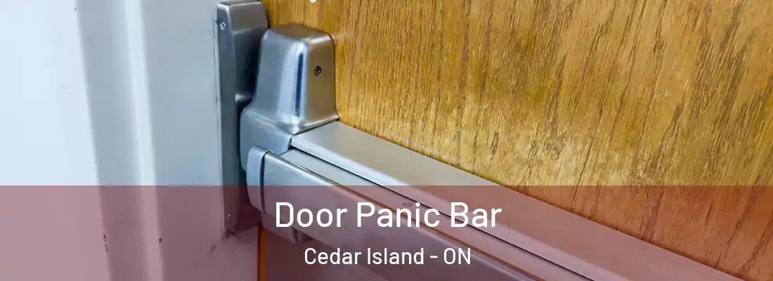  Door Panic Bar Cedar Island - ON