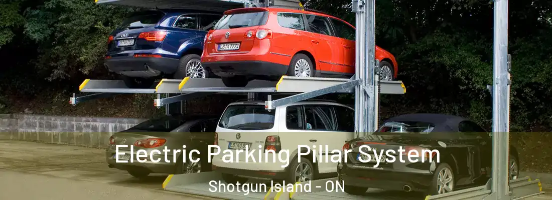  Electric Parking Pillar System Shotgun Island - ON