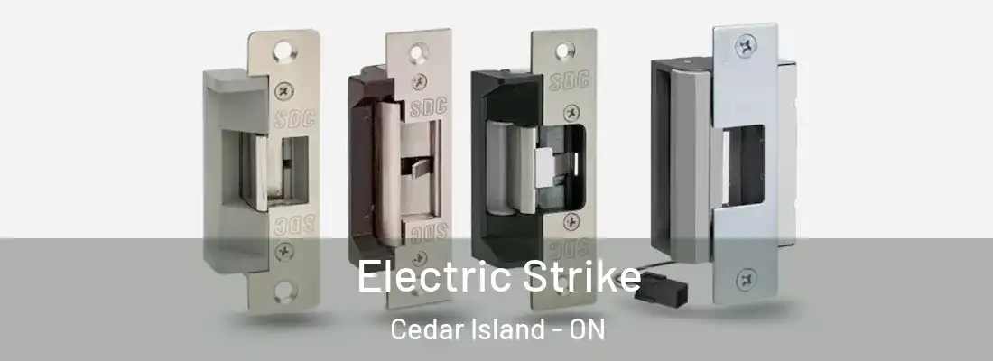  Electric Strike Cedar Island - ON