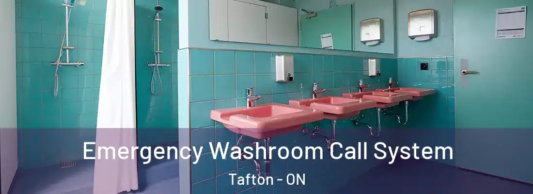  Emergency Washroom Call System Tafton - ON