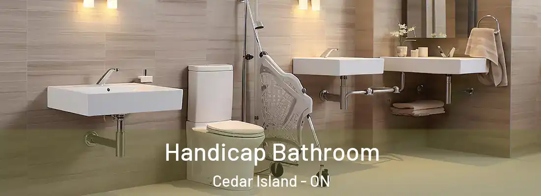  Handicap Bathroom Cedar Island - ON