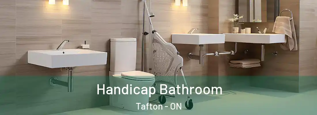  Handicap Bathroom Tafton - ON