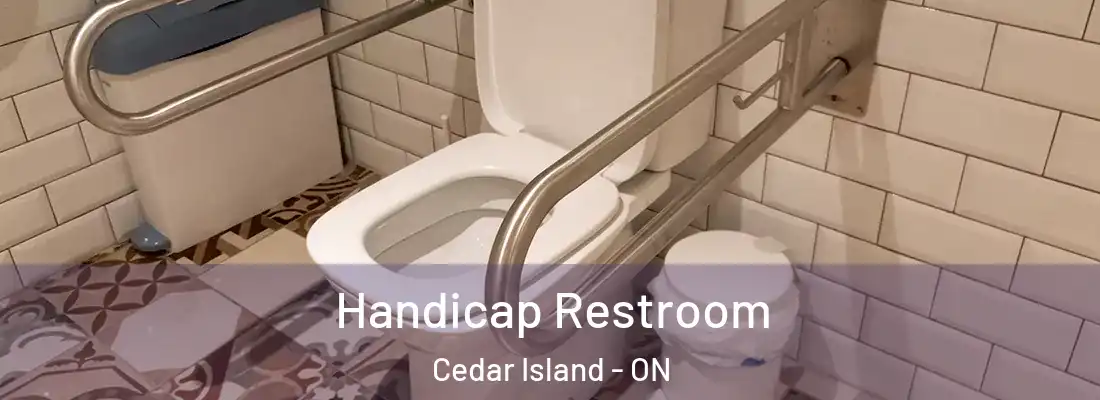  Handicap Restroom Cedar Island - ON
