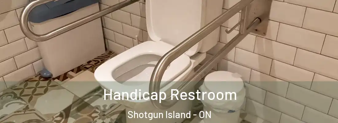 Handicap Restroom Shotgun Island - ON