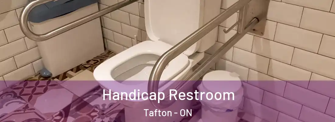  Handicap Restroom Tafton - ON