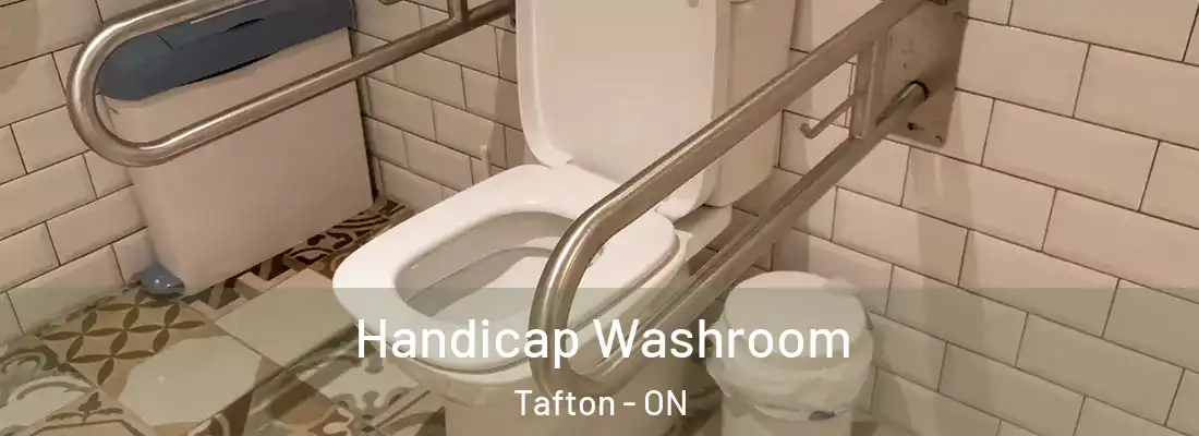  Handicap Washroom Tafton - ON