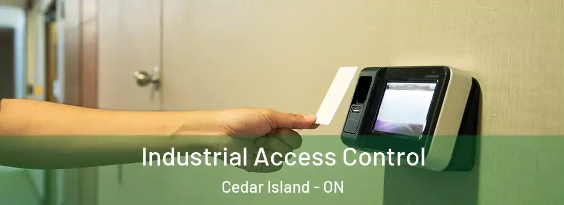  Industrial Access Control Cedar Island - ON