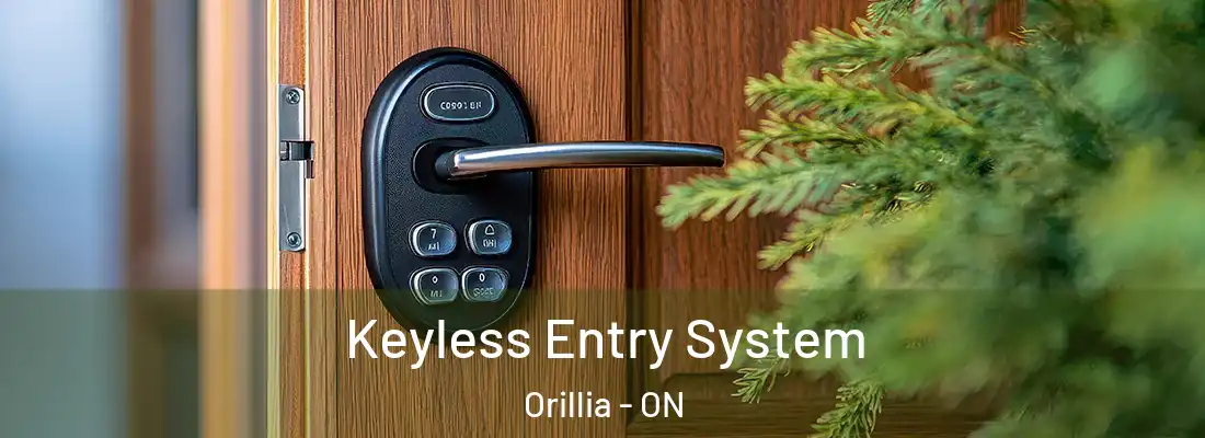  Keyless Entry System Orillia - ON