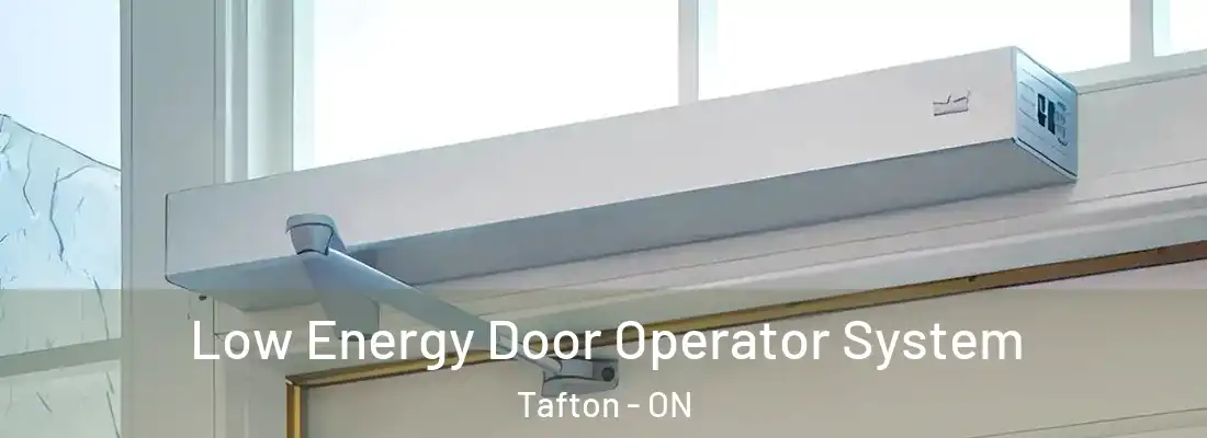 Low Energy Door Operator System Tafton - ON