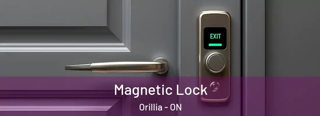  Magnetic Lock Orillia - ON