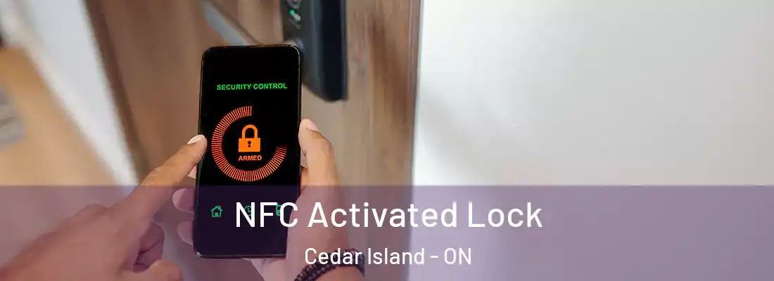  NFC Activated Lock Cedar Island - ON