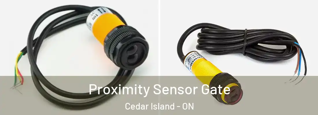  Proximity Sensor Gate Cedar Island - ON