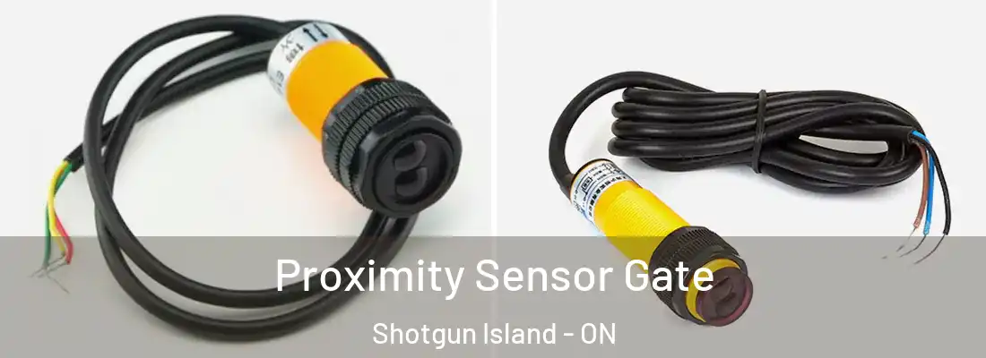  Proximity Sensor Gate Shotgun Island - ON