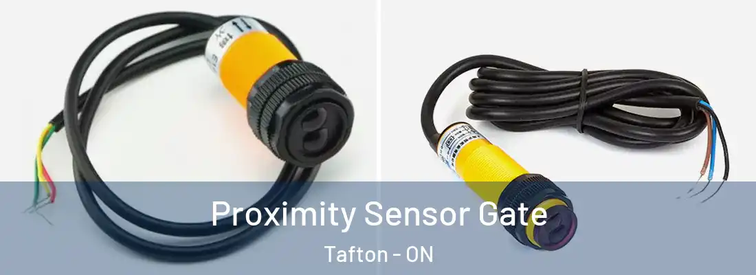  Proximity Sensor Gate Tafton - ON