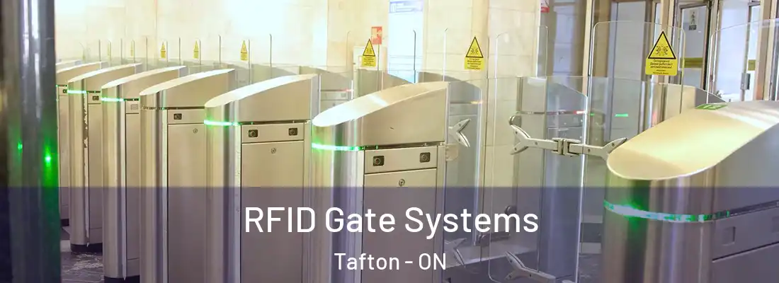  RFID Gate Systems Tafton - ON