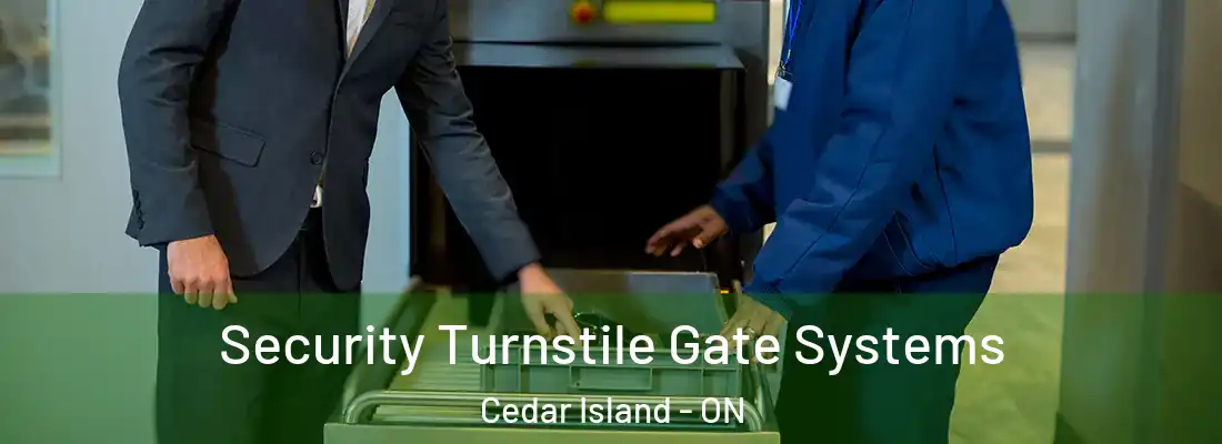  Security Turnstile Gate Systems Cedar Island - ON