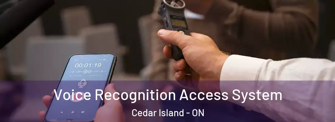  Voice Recognition Access System Cedar Island - ON
